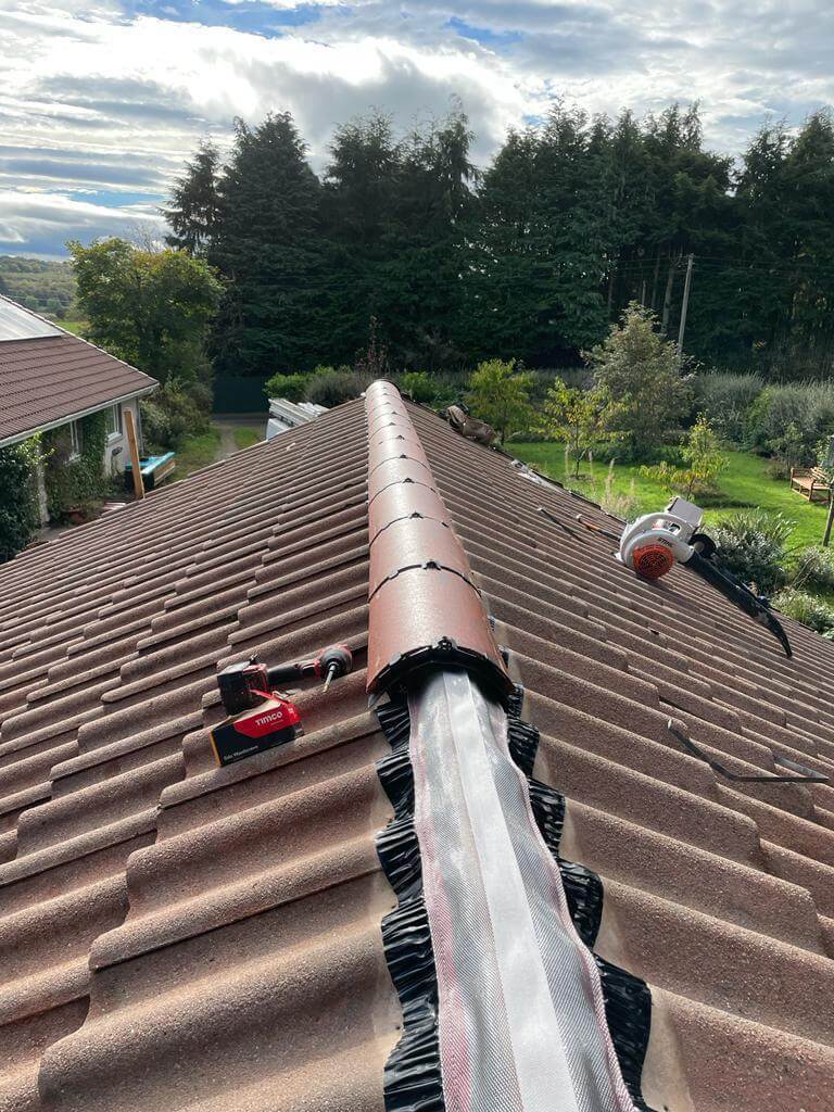 Roof Cleaning