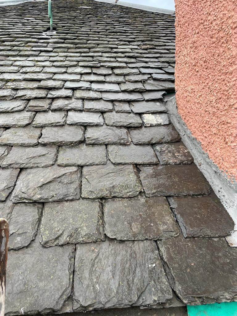 Roofing Services Near Me